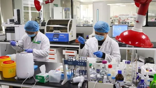 创新型生物医药产业不断集聚 上海的优势在哪里